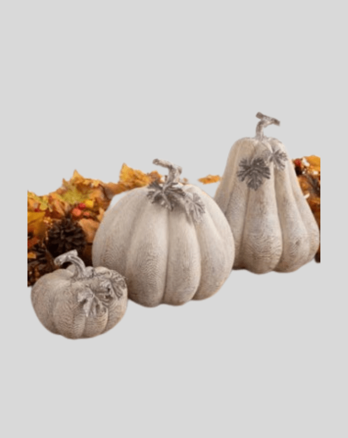 Charming set of Decorative Pumpkins